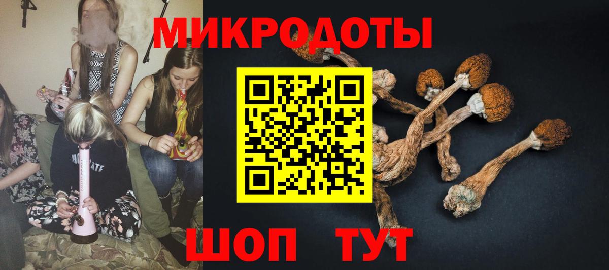 Псилоцибиновые грибы ЛСД Бахчисарай