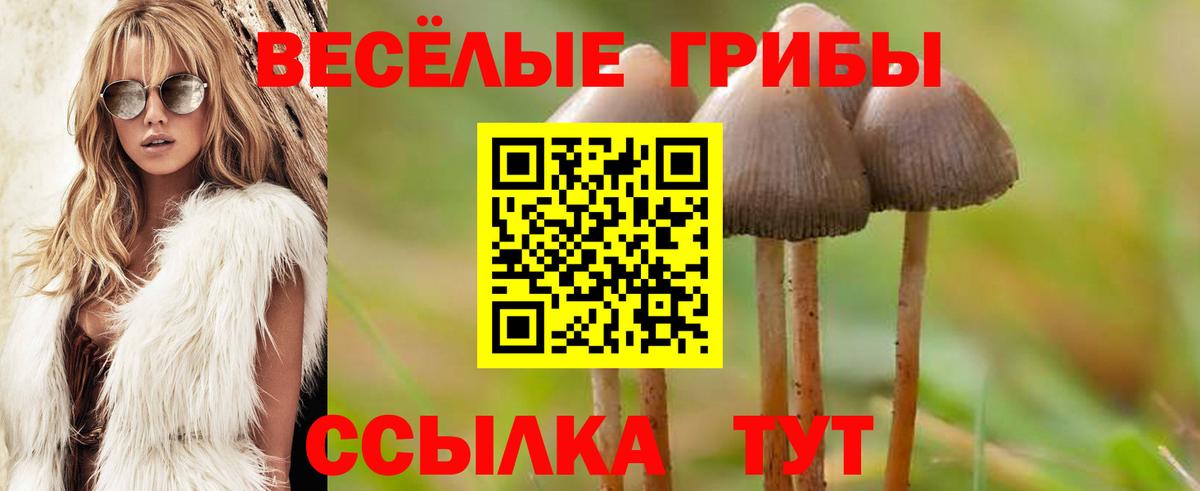 Галлюциногенные грибы ЛСД  Вход с VPN  Галлюциногенные грибы Psilocybe  Бахчисарай 